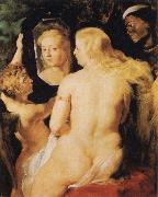 Peter Paul Rubens Venus at a Mirror china oil painting artist